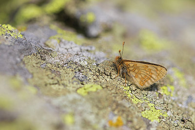 BUITEN BEELD Foto: 317511
