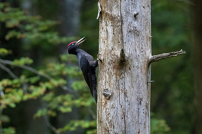BUITEN BEELD Foto: 317680