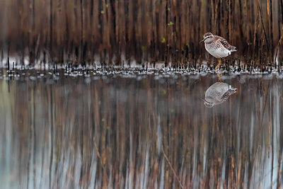 BUITEN BEELD Foto: 317688