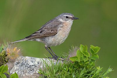 BUITEN BEELD Foto: 317762