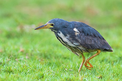 BUITEN BEELD Foto: 317831