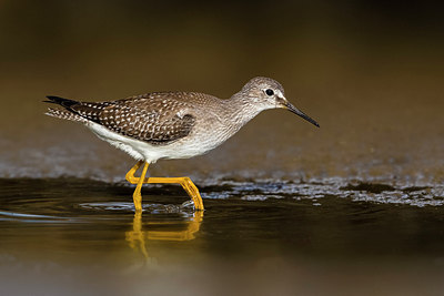 BUITEN BEELD Foto: 317853