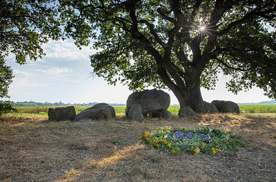 BUITEN BEELD Foto: 317965