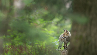 BUITEN BEELD Foto: 318001