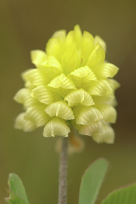 BUITEN BEELD Foto: 318040