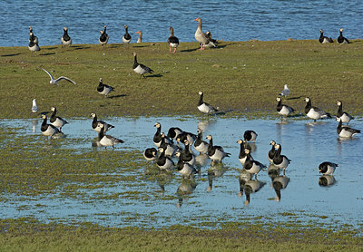 BUITEN BEELD Foto: 318059