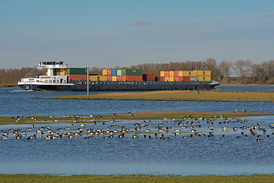 BUITEN BEELD Foto: 318062
