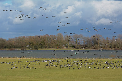 BUITEN BEELD Foto: 318065