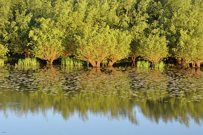 BUITEN BEELD Foto: 318075