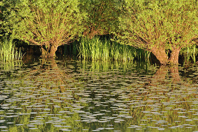 BUITEN BEELD Foto: 318076