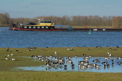 BUITEN BEELD Foto: 318086