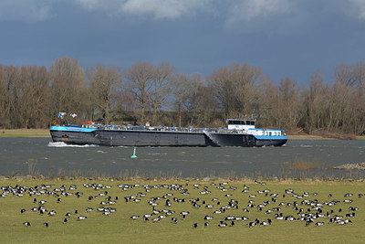 BUITEN BEELD Foto: 318088