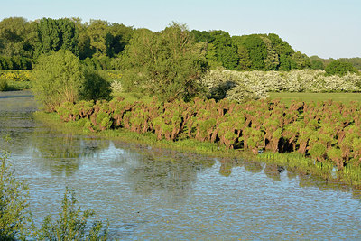 BUITEN BEELD Foto: 318095