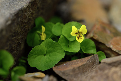 BUITEN BEELD Foto: 318138