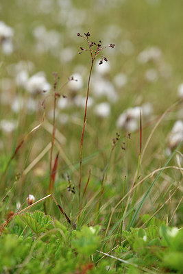 BUITEN BEELD Foto: 318142