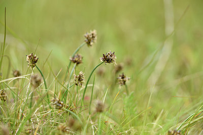 BUITEN BEELD Foto: 318149