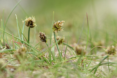 BUITEN BEELD Foto: 318155