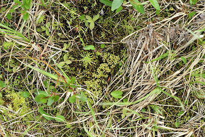 BUITEN BEELD Foto: 318165