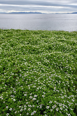 BUITEN BEELD Foto: 318171