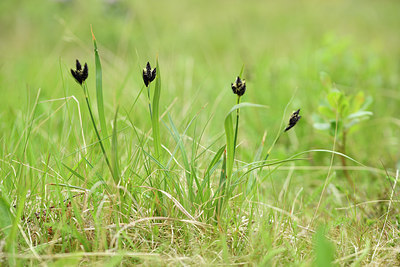 BUITEN BEELD Foto: 318196