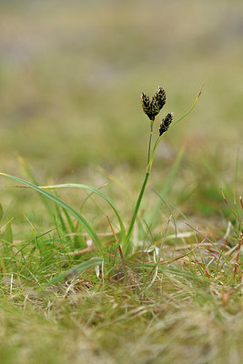 BUITEN BEELD Foto: 318200