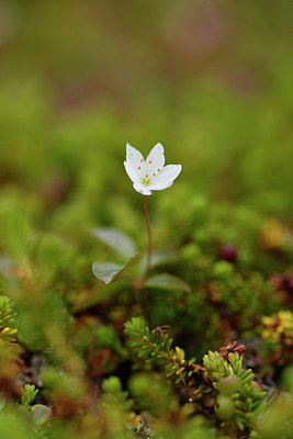 BUITEN BEELD Foto: 318231