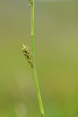 BUITEN BEELD Foto: 318234