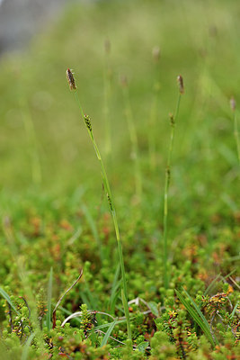 BUITEN BEELD Foto: 318235