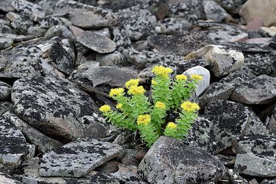 BUITEN BEELD Foto: 318245