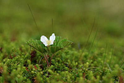 BUITEN BEELD Foto: 318252