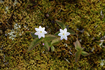 BUITEN BEELD Foto: 318258