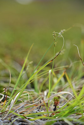 BUITEN BEELD Foto: 318264