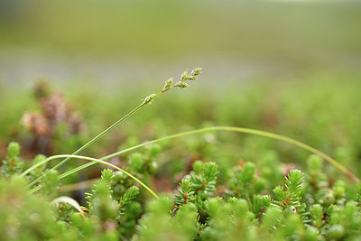 BUITEN BEELD Foto: 318270