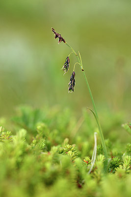 BUITEN BEELD Foto: 318273