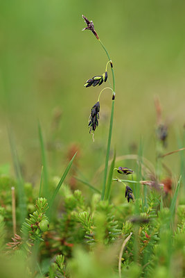 BUITEN BEELD Foto: 318277