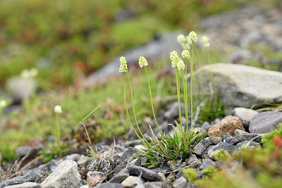 BUITEN BEELD Foto: 318295