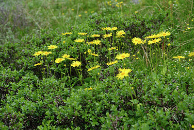 BUITEN BEELD Foto: 318299