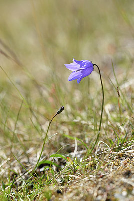 BUITEN BEELD Foto: 318323