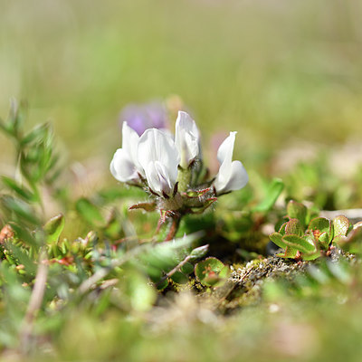 BUITEN BEELD Foto: 318327