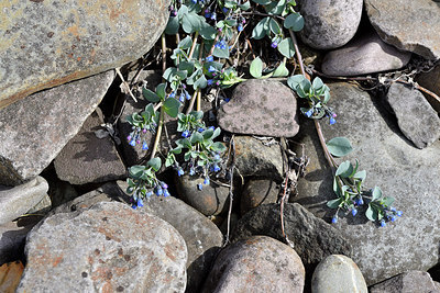 BUITEN BEELD Foto: 318328