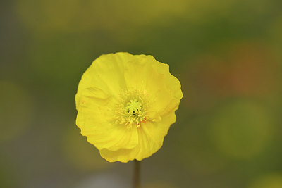 BUITEN BEELD Foto: 318357
