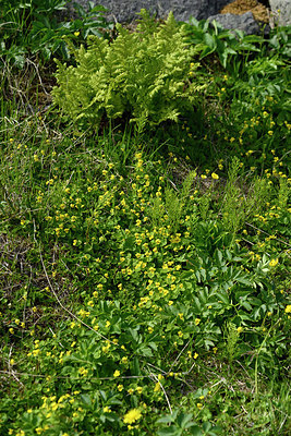 BUITEN BEELD Foto: 318359
