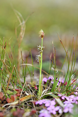 BUITEN BEELD Foto: 318370
