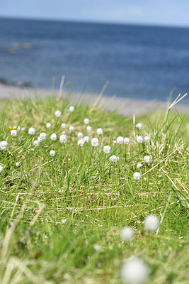 BUITEN BEELD Foto: 318372
