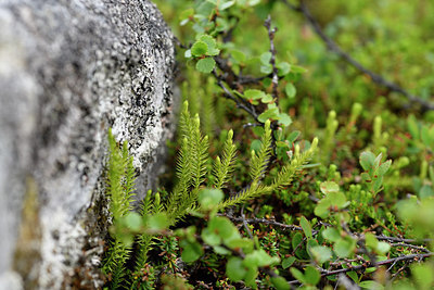BUITEN BEELD Foto: 318415