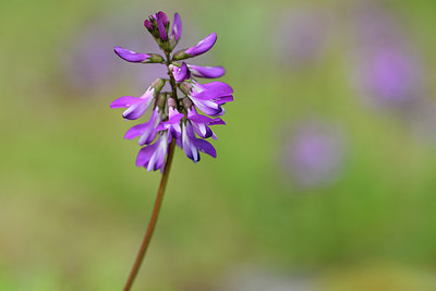 BUITEN BEELD Foto: 318445