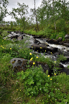 BUITEN BEELD Foto: 318459