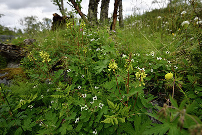 BUITEN BEELD Foto: 318461