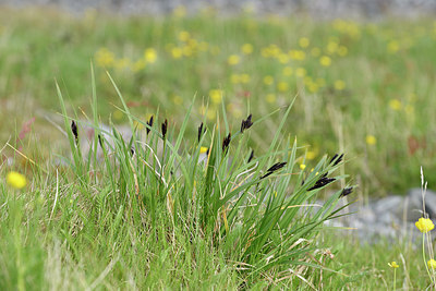 BUITEN BEELD Foto: 318514