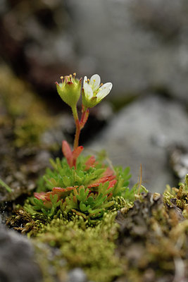 BUITEN BEELD Foto: 318526